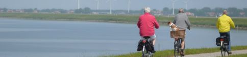 Ouderen op fiets langs water