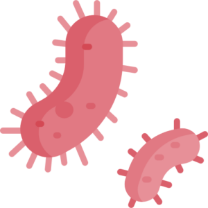 Icoon bacterie