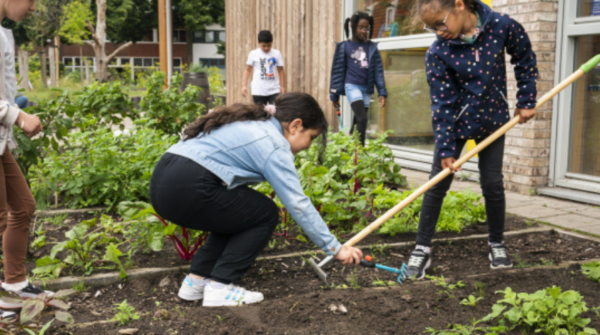 Kinderen aan het werk in een moestuin