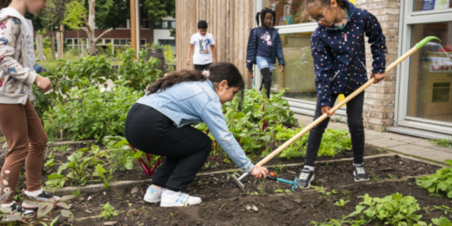 Kinderen aan het werk in een moestuin