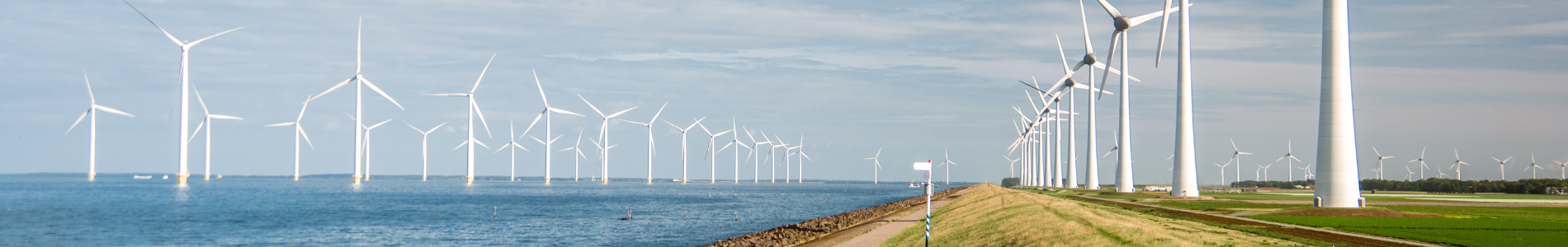 Header Flevoland dijk met windmolens