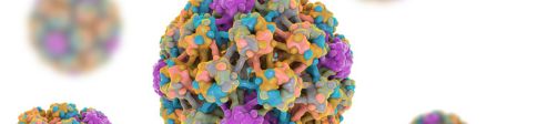 HPV