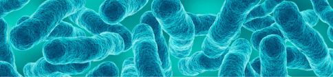 Tuberculose